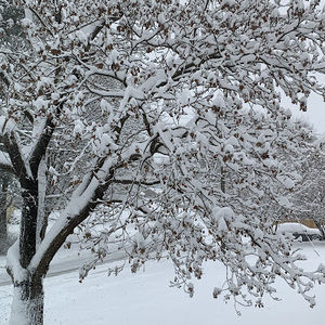 Meet your Posher, Tamara